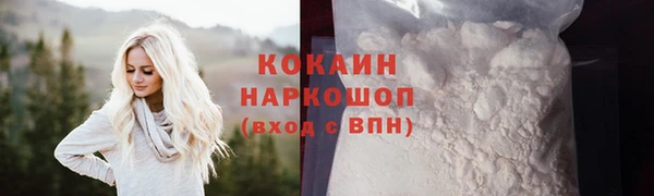 мяу мяу мука Бородино