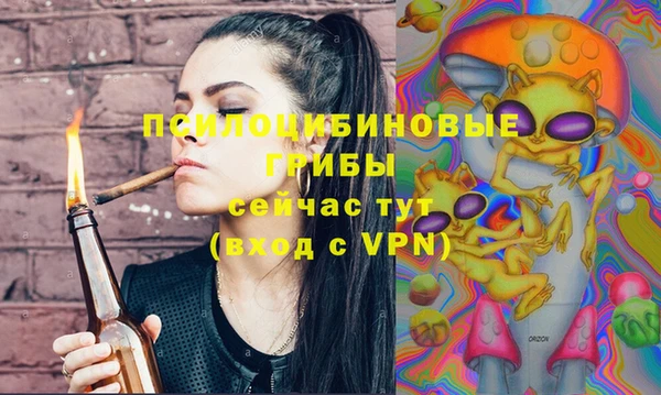 мяу мяу мука Бородино