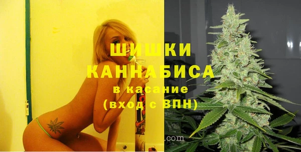 стаф Бугульма