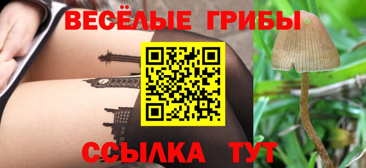 Улан-Удэ  Галлюциногенные грибы MAGIC MUSHROOMS  купить  сайты  Вход с VPN  Псилоцибиновые грибы Cubensis 